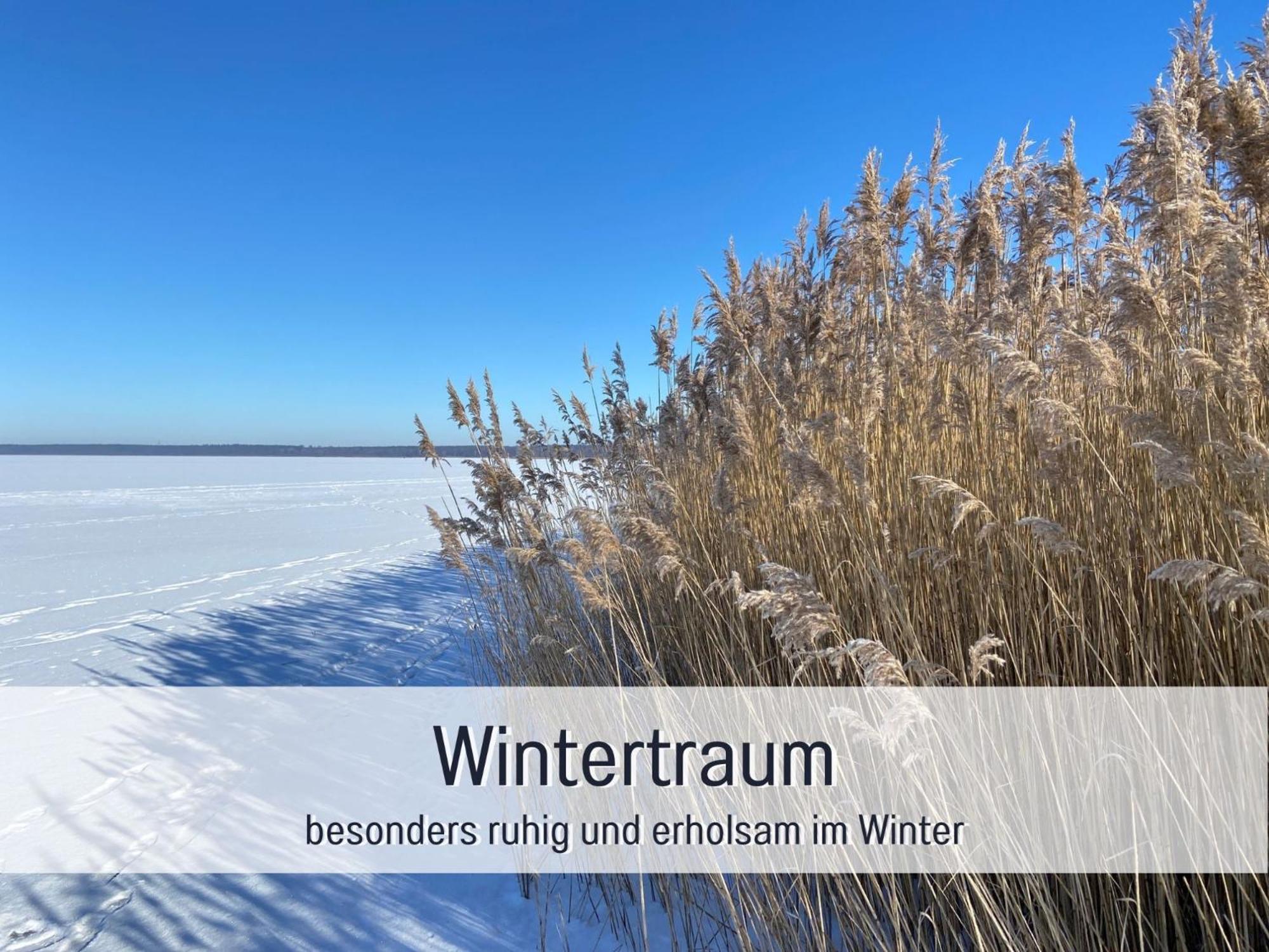 Strandhaus Mathea - Ruhige Lage Direkt Am Fleesensee - Parkplatz, Kamin, Sauna - Familienfreundlich Unter Gohren Bagian luar foto