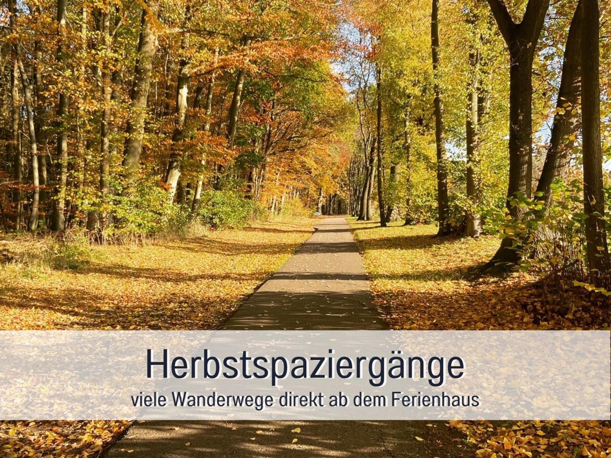 Strandhaus Mathea - Ruhige Lage Direkt Am Fleesensee - Parkplatz, Kamin, Sauna - Familienfreundlich Unter Gohren Bagian luar foto